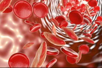 ரத்த உற்பத்தி உடலில் வெகு சீக்கிரமாக அதிகரிக்கனுமா? இதை சாப்பிட்டால் போதும்