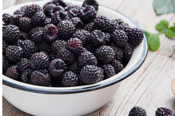 ஒரே வாரத்தில் இப்படி இருந்த உங்க முகம் மாறனுமா? இந்த 1 விதையை மட்டும் வீட்டுல வச்சுக்கோங்க! | Beauty Benefits Blackberry