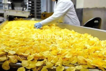 මෙරට පළමු අර්තාපල් පෙති නිෂ්පාදන කර්මාන්තශාලාව. - පර්යේෂණ අත්හදාබැලීම් සාර්ථකයි.