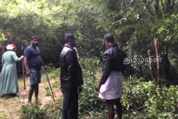 மழைக்கு மத்தியில் மாவீரர்களுக்கு அஞ்சலி செலுத்தி ஆரம்பிக்கப்பட்ட பணி.. | Maveerar Day 2026 மழைக்கு மத்தியில் மாவீரர்களுக்கு அஞ்சலி செலுத்தி ஆரம்பிக்கப்பட்ட பணி.. | Maveerar Day 2026