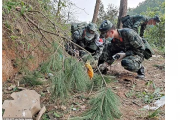 விழுந்து நொறுங்கிய சீன விமானத்தில் இருந்த 132 பேரின் நிலை என்ன?: வெளியாகியுள்ள பயங்கர தகவல்