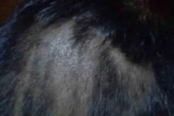 சிகை அலங்கரிப்பாளராக மாறிய ஆசிரியர்