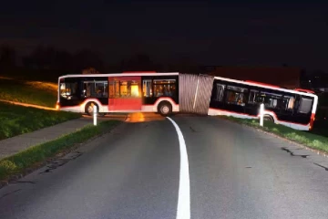 தொடர் பேருந்தை பள்ளத்தில் விட்ட சாரதி: பின்னர் தெரியவந்த உண்மை