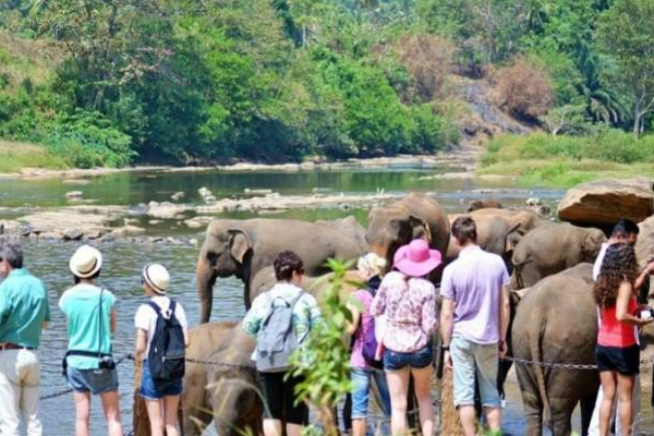 சுற்றுலா செல்வதற்கு சிறந்த நாடுகள் பட்டியலில் இலங்கை பிடித்துள்ள இடம்! | Sri Lanka Is Among The Best Countries To Visit