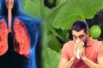 சளி, இருமல், கப நோயை ஓட ஓட விரட்டும் கீரை: சித்தர்கள் சொன்ன ரகசியம்