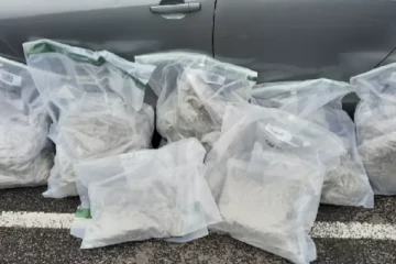 பிரித்தானிய துறைமுகத்தில் வாகனம் ஒன்றை சோதனையிட்ட பொலிசார்: சிக்கிய பெண் உட்பட இருவர்...