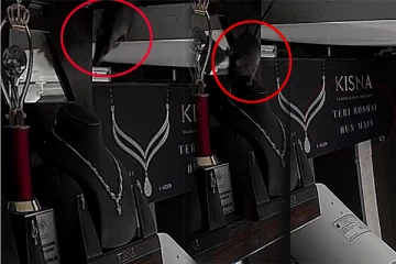 நுதனமாக திருடும் எலி: சிசிடிவியில் வசமாக சிக்கிக்கொண்ட காட்சி! வைரலாகும் வீடியோ