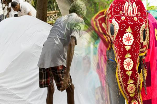 பெல்லன்வில மெனிக்க யானை உயிரிழப்பு | Manika Of Bellanwila Temple Passes Away