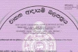 රට පුරා වාහන ආදායම් බලපත්‍ර ලබා ගැනීම සඳහා - හෙට සිට ක්‍රියාත්මක වන විශේෂ නීතිය මෙන්න
