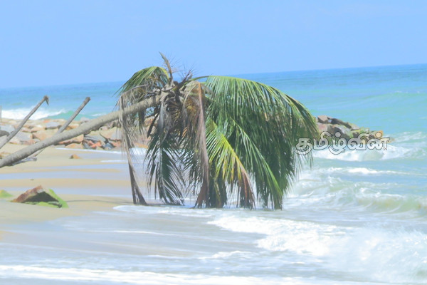 அம்பாறை மாவட்டத்தின் முக்கிய தமிழ் கிராமம் கடலில் மூழ்கும் அபாயம்! விடுக்கப்பட்டுள்ள அவசர கோரிக்கை | Attapallam Area At Risk Of Sinking Into The Sea