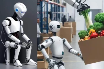 கட்டிடத்தில் இருந்து தாமாக குதித்து இறந்த ரோபோ! உலகில் முதல் முறை