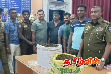 யாழ். பருத்தித்துறையில் பாரியளவு கஞ்சா மீட்பு