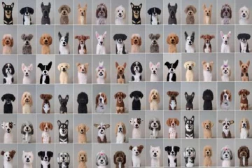 optical illusion: பொம்மை நாய்களுக்குள் எது உண்மையான நாய் தெரியுமா? ஆறு நொடிக்குள் முடிந்தால் கண்டுபிடியுங்கள்