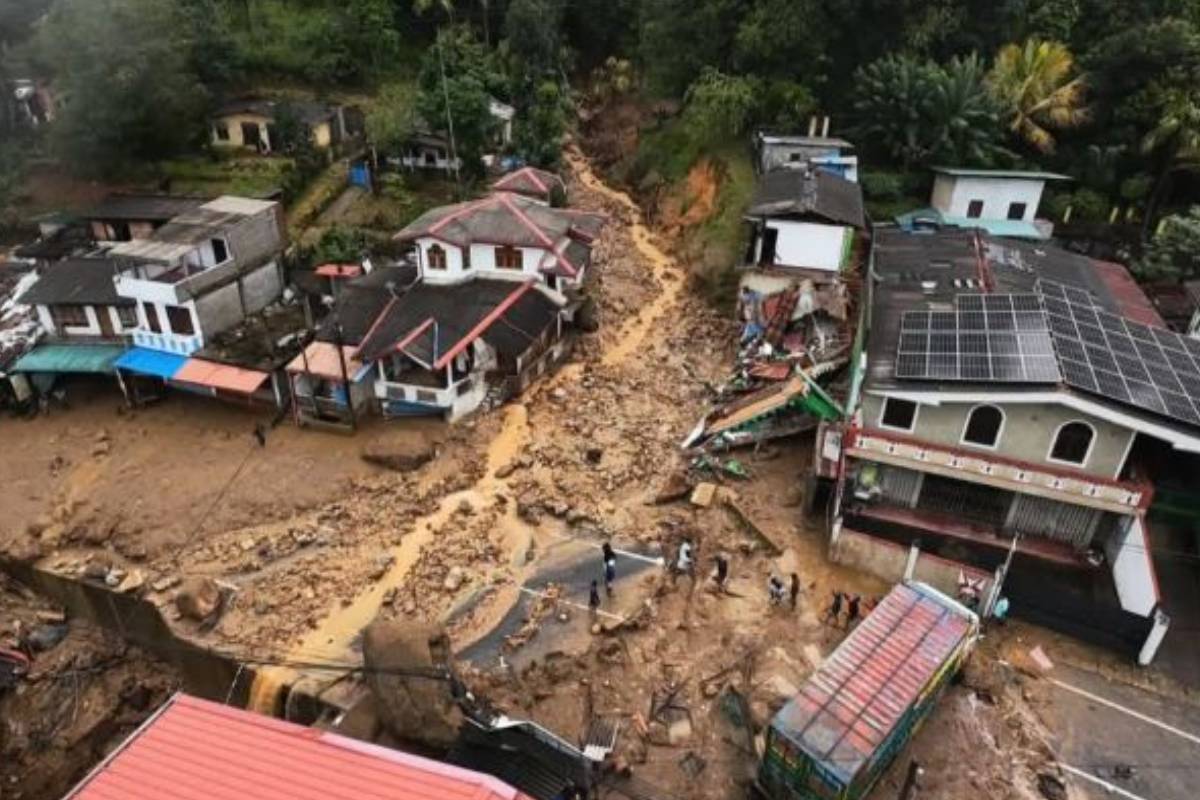 டித்வா புயலால் பாதிக்கப்பட்ட மக்களுக்கான நிவாரணத்தில் மோசடி: செட்டிகுளம் பிரதேச செயலகத்தில் தீவிர விசாரணை | Fraud In Distribution Of Cooked Meals To People