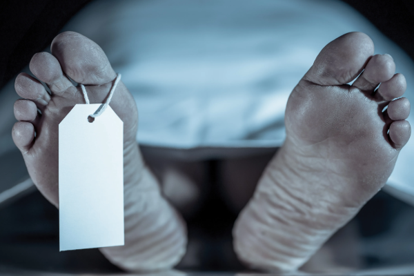 ஏணி முறிந்து விழுந்ததில் நபர் உயிரிழப்பு; காவலுக்கு சென்றவருக்கு நேர்ந்த துயரம் | Man Dies After Ladder Collapses