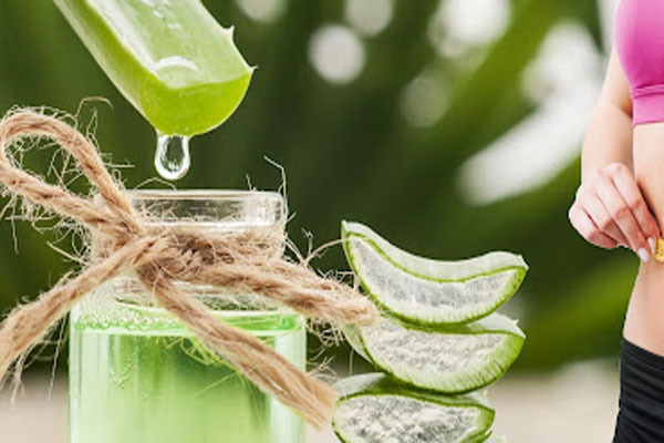 கற்றாழை ஜூஸ் யாரெல்லாம் குடிக்கக்கூடாது? மீறினால் என்ன நடக்கும் - தமிழ்நாடு