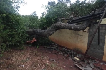 வவுனியாவில் இன்றுமாலை இடம்பெற்ற அனர்த்தம்  - சிறுவர்கள் உட்பட நால்வருக்கு ஏற்பட்ட நிலை