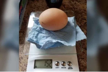 கனடாவில் கோழி முட்டை மூலம் பிரபலமான பெண்!