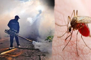 ஒரே வாரத்தில் 2,000 ஐக் கடந்த டெங்கு நோய்த்தாக்கம் : மக்களுக்கு விடுக்கப்பட்டுள்ள எச்சரிக்கை