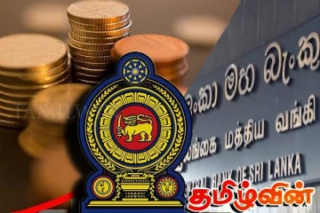 இலங்கைக்கு கிடைத்துள்ள டொலர்கள்! மத்திய வங்கியின் அறிவிப்பு