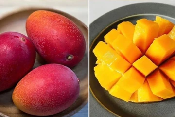 இரவு நேரத்தில் தெரியாம கூட மாம்பழத்தை சாப்பிடாதீங்க! இந்த பிரச்சினைகள் உங்களை தேடி வருமாம்