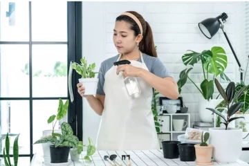 வீட்டில் கட்டாயம் இந்த 5 செடிகள் இருந்தாலே போதும் தினமும் அதிர்ஷ்டம் கொட்டும்