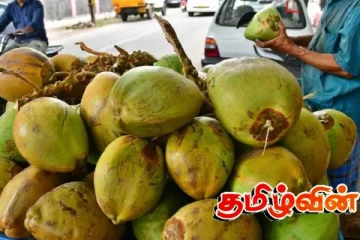 கிண்ணியாவில் அழுகிய இளநீர் விற்பனை: சுகாதாரப் பிரிவினர் அதிரடி நடவடிக்கை!