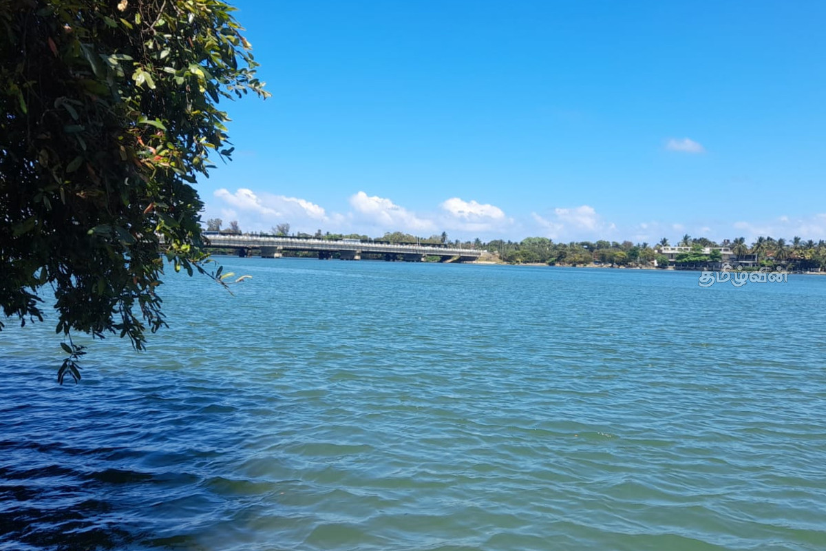 மட்டக்களப்பு- கல்லடி பாலத்திற்கு அருகில் சடலம் மீட்பு | Body Recovered Near Batticaloa Kallady Bridge மட்டக்களப்பு- கல்லடி பாலத்திற்கு அருகில் சடலம் மீட்பு | Body Recovered Near Batticaloa Kallady Bridge