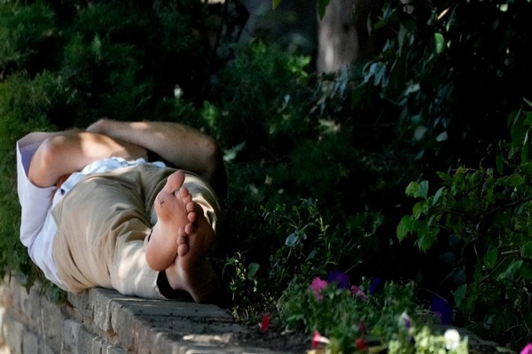 அடிக்கடி குட்டித் தூக்கம் போடுவோருக்கு ஏற்படக் கூடிய ஆபத்து | Napping Regularly Linked To High Blood Pressure
