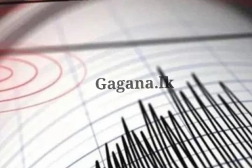 ඉන්දියාවේ භූ කම්පන තත්ත්වයක් - එහි නවතම තොරතුරු..