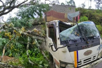 மின்னல் தாக்கி மரம் முறிந்து விழுந்ததில் மூவர் காயம்