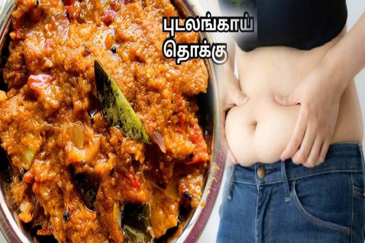 தொங்கும் தொப்பைக்கு முடிவு கட்டும் புடலங்காய் தொக்கு... இப்படி செய்து பாருங்க | Health Benefits And Pudalangai Thokku Recipe