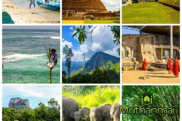 இலங்கைக்கு வருகை தரும் சுற்றுலாப் பயணிகளின் எண்ணிக்கை அதிகரிப்பு