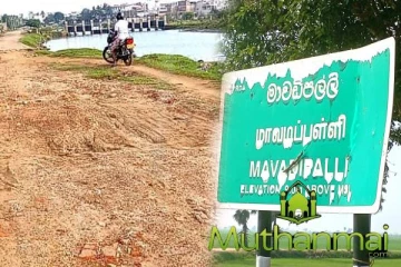 மாவடிப்பள்ளி- வண்டு வீதி முற்றாக சேதம்: விவசாயிகள் விடுத்துள்ள கோரிக்கை