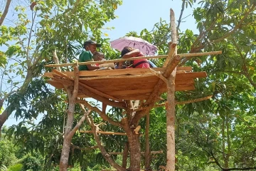 இணைய வசதியின்மையினால் மாணவர்களின் கற்றல் நடவடிக்கைகள் பாதிப்பு