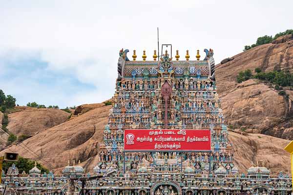 திருப்பரங்குன்றம் விவகாரம்: நிபந்தனையற்ற மன்னிப்பு கேட்ட ஆட்சியர் | Thiruparankundram Case Collector Apologizes திருப்பரங்குன்றம் விவகாரம்: நிபந்தனையற்ற மன்னிப்பு கேட்ட ஆட்சியர் | Thiruparankundram Case Collector Apologizes