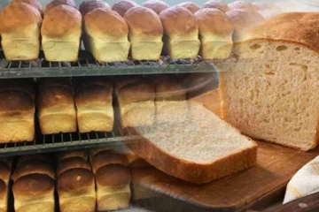 நூற்றுக்கணக்கான பேக்கரிகள் மீது வழக்கு பதிவு