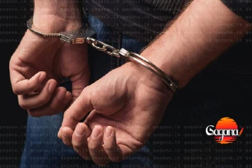 පොලිසියෙන් මහා සොරකම් ජාලයක් බිඳ දමයි – සැකකරු අද අධිකරණයට