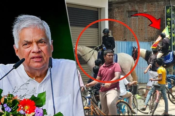 ரணிலுக்கு ஆதரவு கோரி உயர் ரக குதிரைகள் மூலம் பிரசார நடவடிக்கை