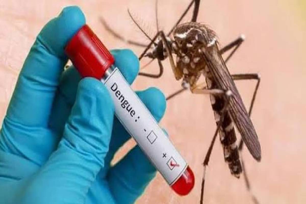 நாட்டில் டெங்கு பாதிப்பு தீவிரம்: ஒரே நாளில் 1,025 புதிய தொற்றாளர்கள் -35 பேர் உயிரிழப்பு | Dengue Cases Rise To Death Increases நாட்டில் டெங்கு பாதிப்பு தீவிரம்: ஒரே நாளில் 1,025 புதிய தொற்றாளர்கள் -35 பேர் உயிரிழப்பு | Dengue Cases Rise To Death Increases