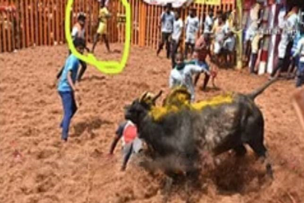 2023 ஜல்லிக்கட்டால் உயிரிழந்த மாடு பிடி வீரன்..! கதறி அழும் தாய் (படங்கள்) | 2023 Palamedu Jallikattu Bull Tamer Die Tamil Nadu