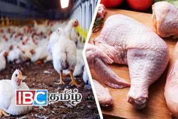 கோழி இறைச்சி தொடர்பில் வெளியான அறிவிப்பு