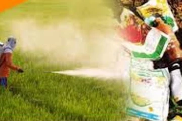 අධික ලෙස මිල ඉහළ ගිය වර්ග රැසක මිල අඩු කරන්න අලුත් ක්‍රමයක්..