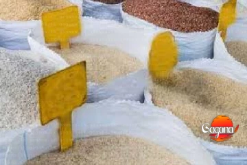 හාල් හිගය බොරුවක්ද? වංචාකාරයන් එළියට