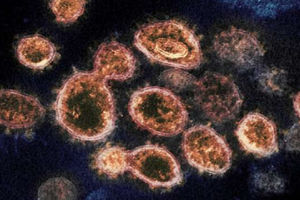 கொரோனாவை தொடர்ந்து லாங்யா என்ற புதிய வைரஸ் - சீனாவில் மக்கள் அச்சம்..! - தமிழ்நாடு