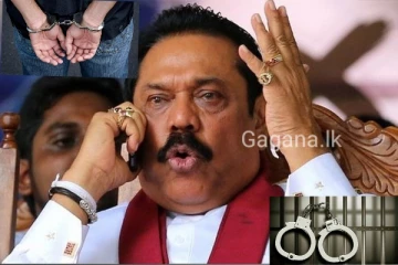 මහින්ද රාජපක්ෂගේ පුත්‍රරත්නය අත්ංඅඩංගුවට ගනී..(VIDEO)