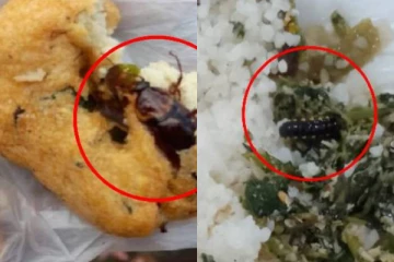 පණුවෝ කැරපොත්තෝ හමුවන බල්ලොත් නොකන කෑම ආපන ශාලාවලින්.. ඔබත් පරිස්සමෙන්(PHOTOS)