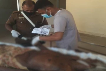 அடையாளம் தெரியாத சடலம் குறித்து பொதுமக்களிடம்  உதவிகோரியுள்ள பொலிஸார்