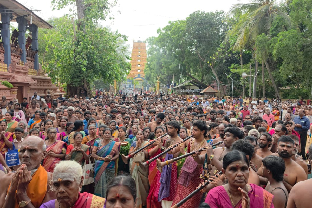 தெல்லிப்பழை துர்க்கை அம்மனுக்கு இன்று இரத உற்சவம் | Chariot Festival Of Goddess Durga In Tellipallai