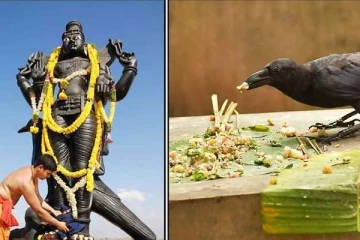 காகத்திற்கு உணவு வைப்பதால் மனம் குளிரும் சனி பகவான்